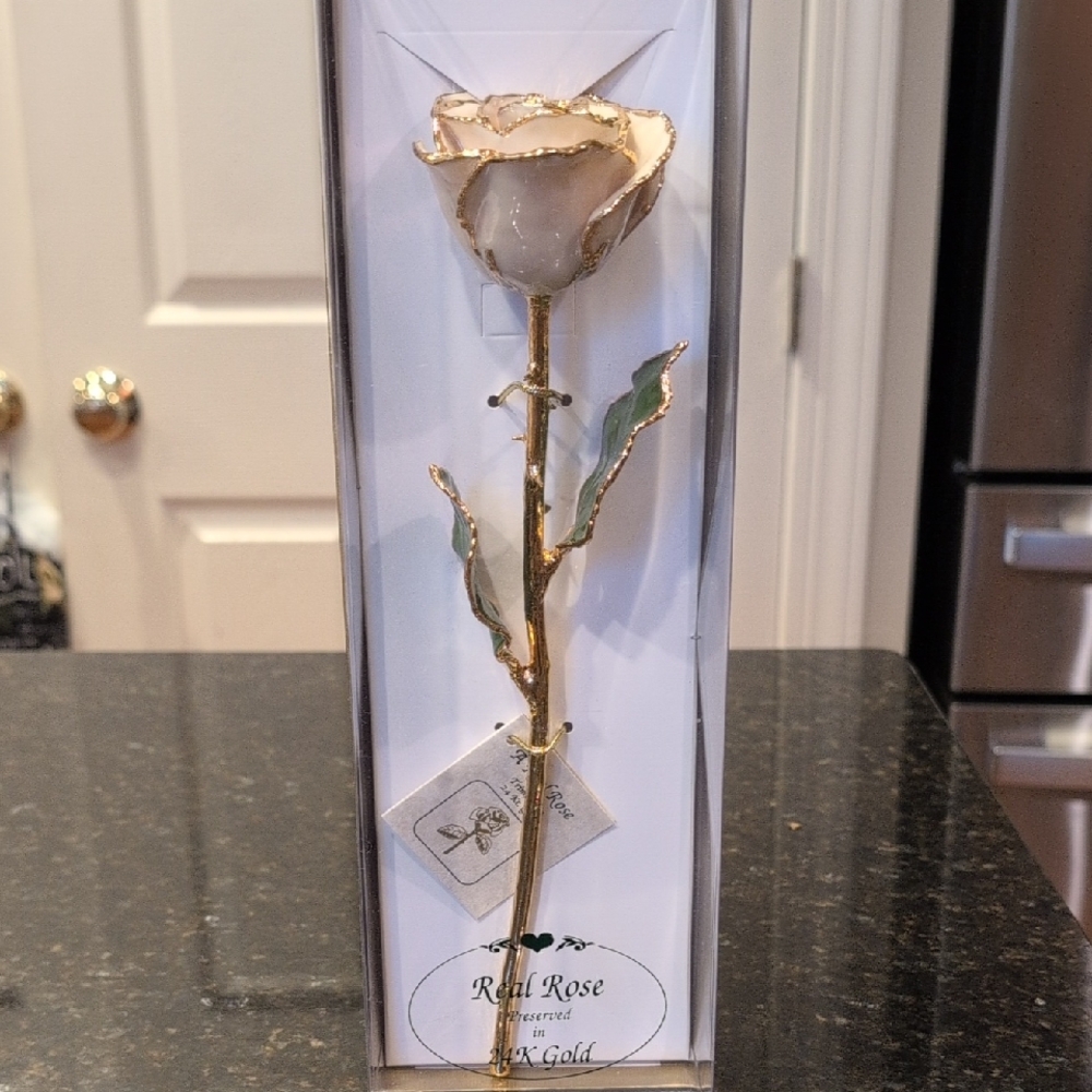 Gold Trimmed White Rose by Unknown Brand